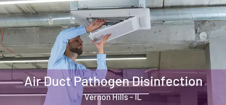  Air Duct Pathogen Disinfection Vernon Hills - IL