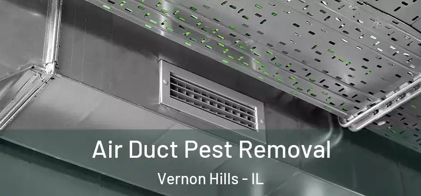  Air Duct Pest Removal Vernon Hills - IL