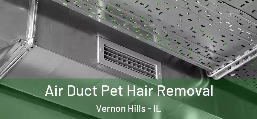 Air Duct Pet Hair Removal Vernon Hills - IL