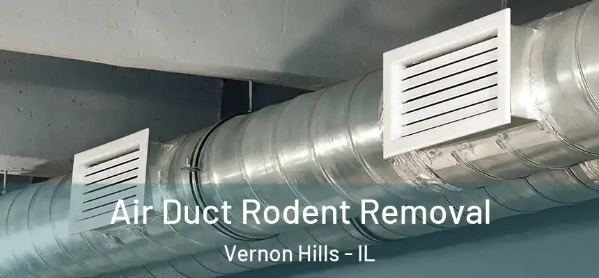 Air Duct Rodent Removal Vernon Hills - IL
