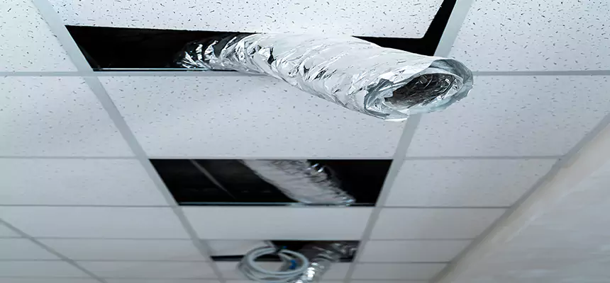 Our Air Duct Pet Hair Removal Services in Vernon Hills, IL