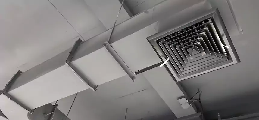 Restorative Allergy Relief Vent Cleaning – Coil, Blower & Housing Detail in Vernon Hills