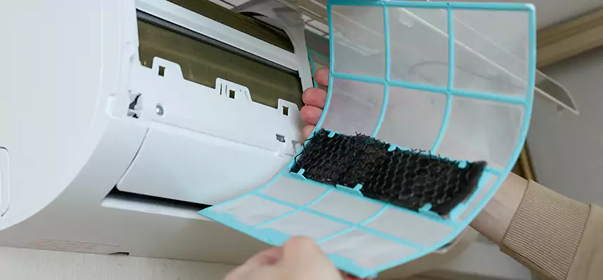 Gentle Ductwork Odor-Control Pet Dander Duct Cleaning in Vernon Hills, IL