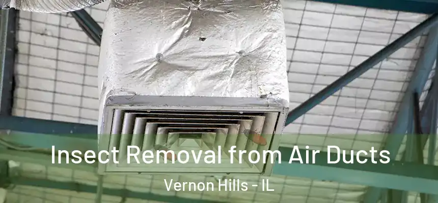  Insect Removal from Air Ducts Vernon Hills - IL