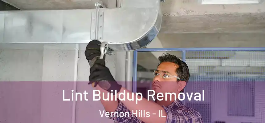 Lint Buildup Removal Vernon Hills - IL