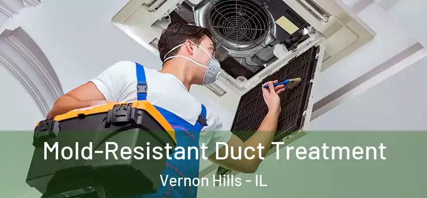 Mold-Resistant Duct Treatment Vernon Hills - IL