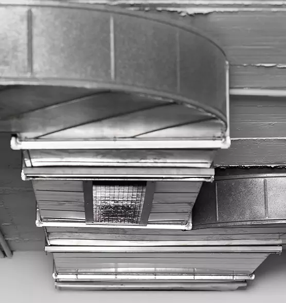 Professional Air Duct Pest Removal in Vernon Hills, IL