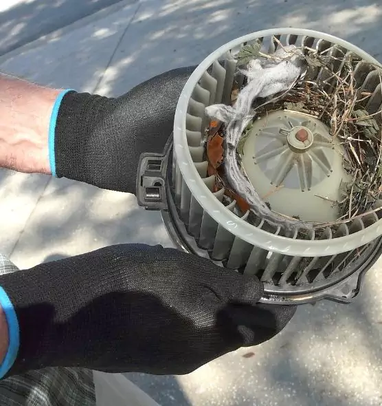 About Air Duct Rat Removal in Vernon Hills, IL