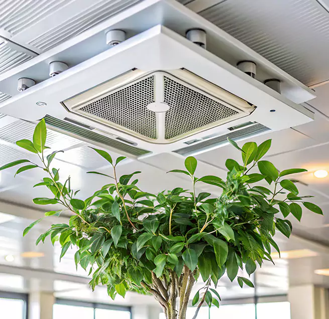 Why Homeowners & Businesses Trust Us in Vernon Hills, IL?